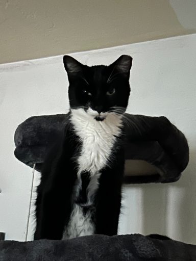 Bruce aka Batman